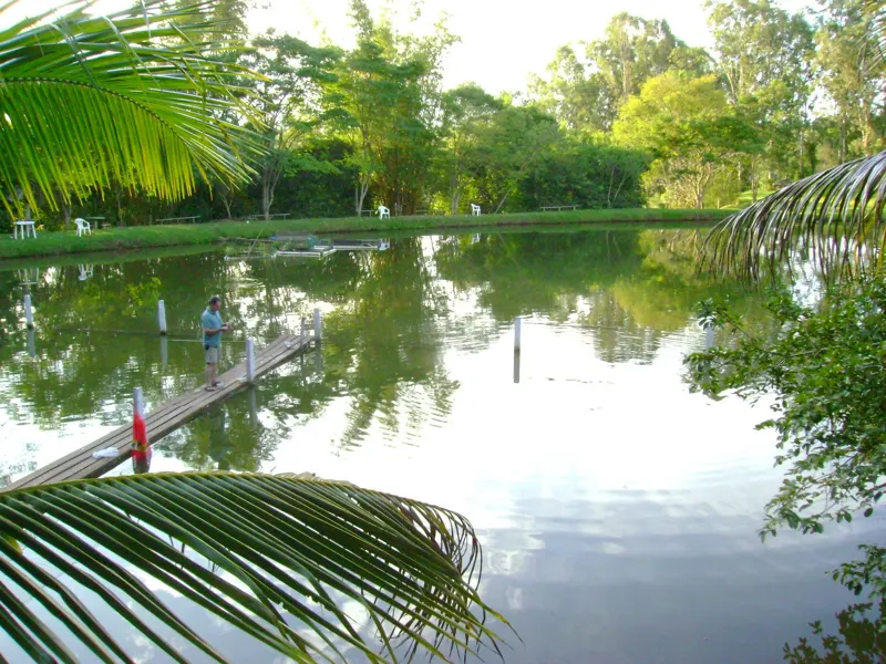 Lago de pesque e pague com deck de madeira